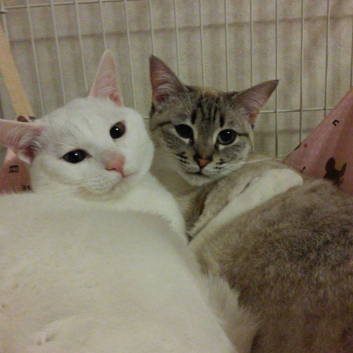 B545ba56 7d01 427f b0cc f913c2c5d3b3