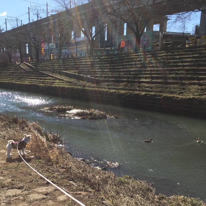 B545eb0d f740 4efe 9487 fbea0bd7191a