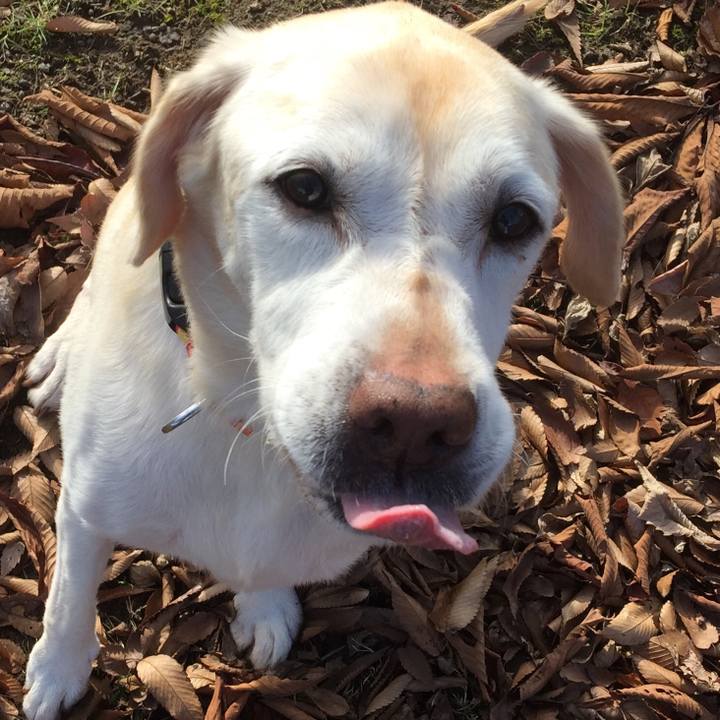 B545f01e e01e 45bb a7bc ac20b7ba07eb