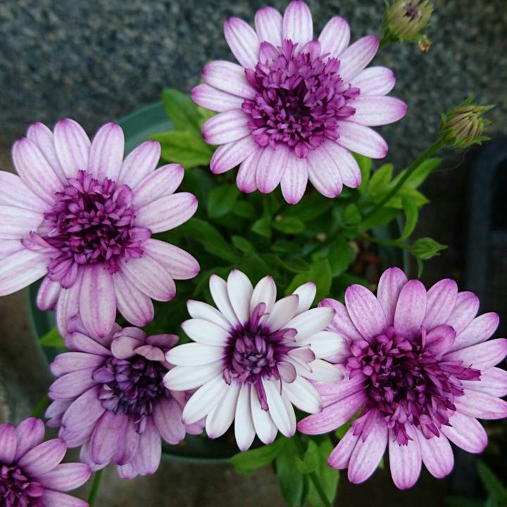 B545f9c5 9823 498e 9661 bfff0bb1877d