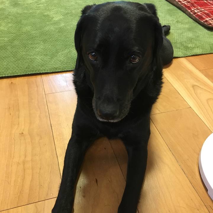 B546977e 4caf 45e3 a75f 6e3ff97c62b9