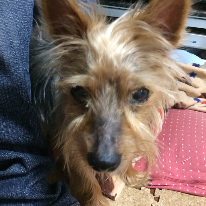 B547601d 605d 4655 b815 70dc8469a0d6