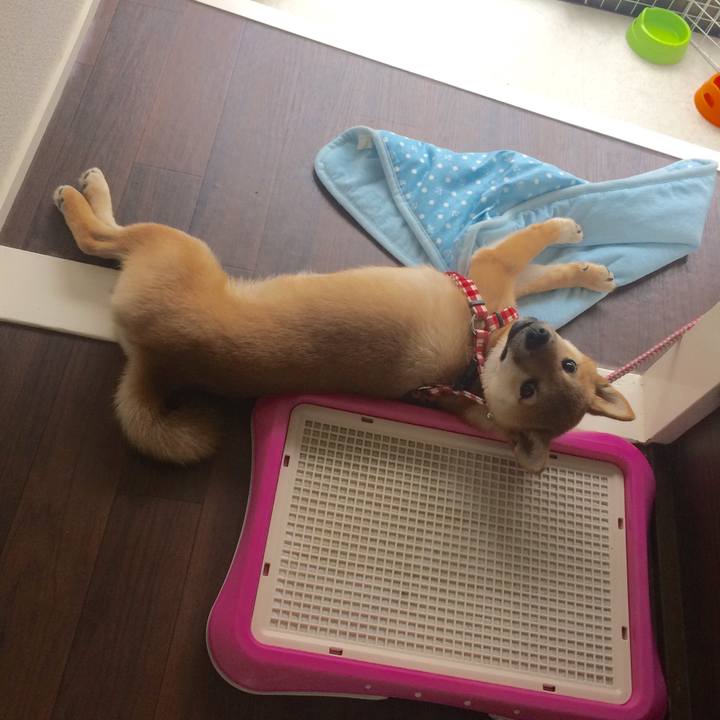 B54879af b5d5 451e 902a 980e0d37d2fc