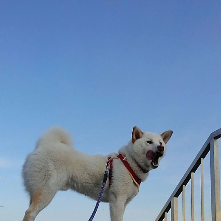 B548b137 578e 4650 bbdd 0f4877901b40