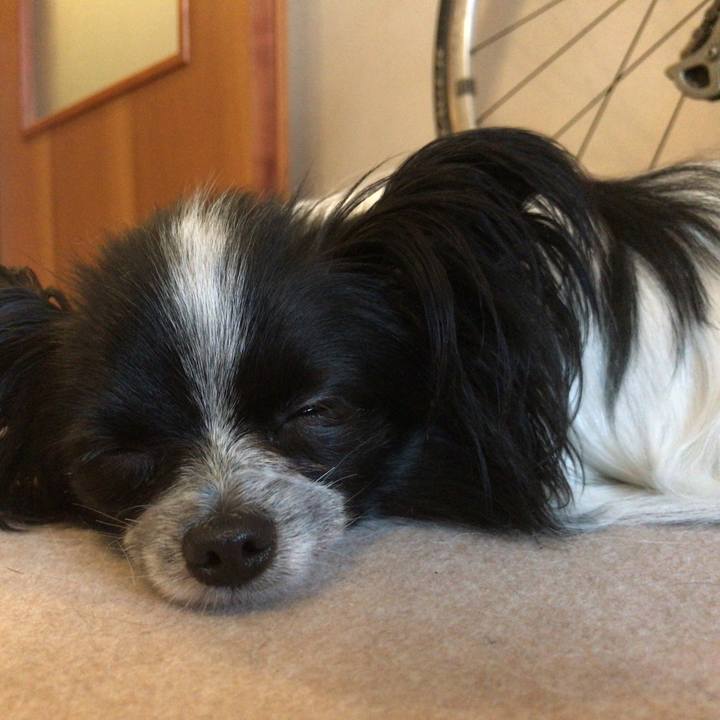 B548f1f5 0504 44a3 b26d 2dde0ed338c4