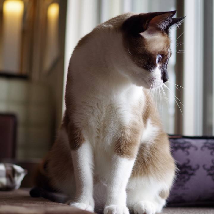 B54944ad ca78 4775 8ccf 5cc953e8320c