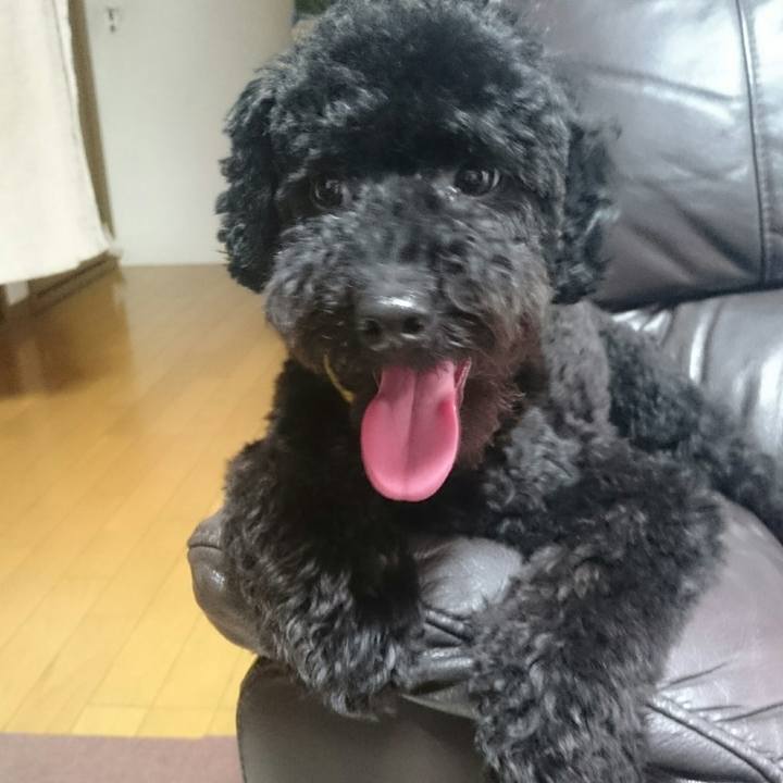 B5496315 0065 4a2b 97ab e226396b251f