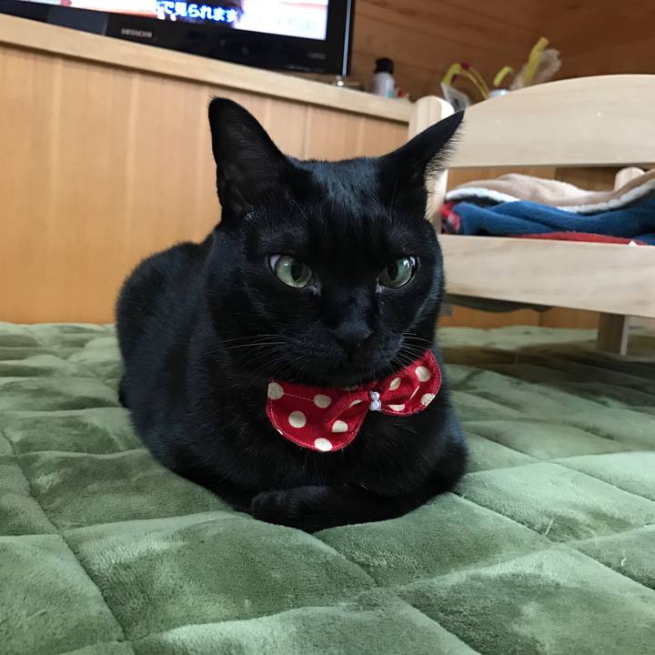 B54971aa d062 4d73 aded f5dc5c81bbc6