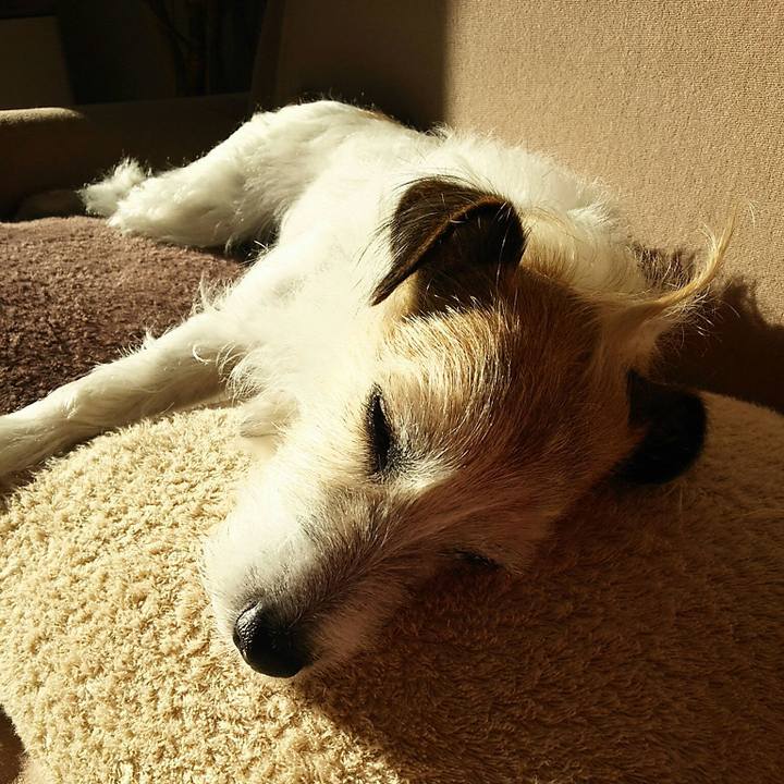 B5498e0a 25d3 4dc3 bf96 c11d6bbd94d8