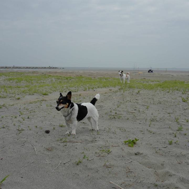 B5499705 662f 4849 89fb caa0bfaee4d1