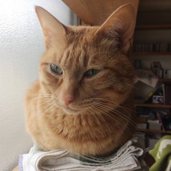 B54ba1a8 208c 4f79 9650 4b2770f9e8a1