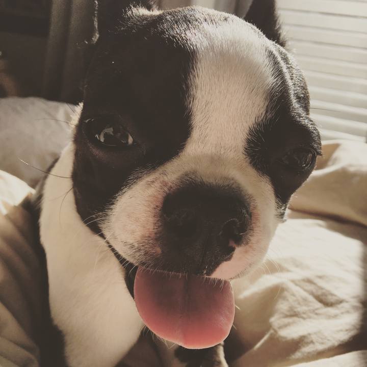 B54be520 a06f 4e69 b1b1 868d43380437