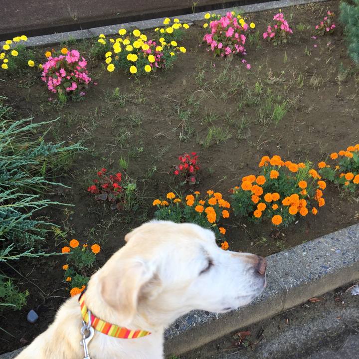 B54be849 8b1d 4bae 9439 ced8ca926f18