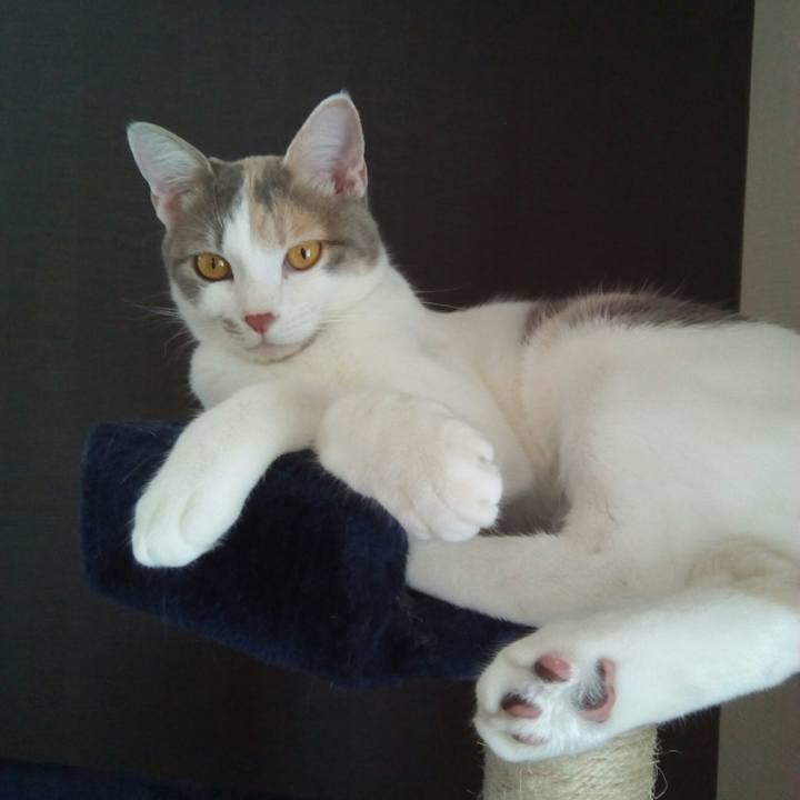 B54bea2c 5f2e 4f99 81f5 e5765aef0aee