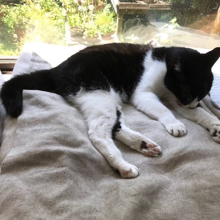 B54bfd9c 0d76 414f b609 92a01c410fc9