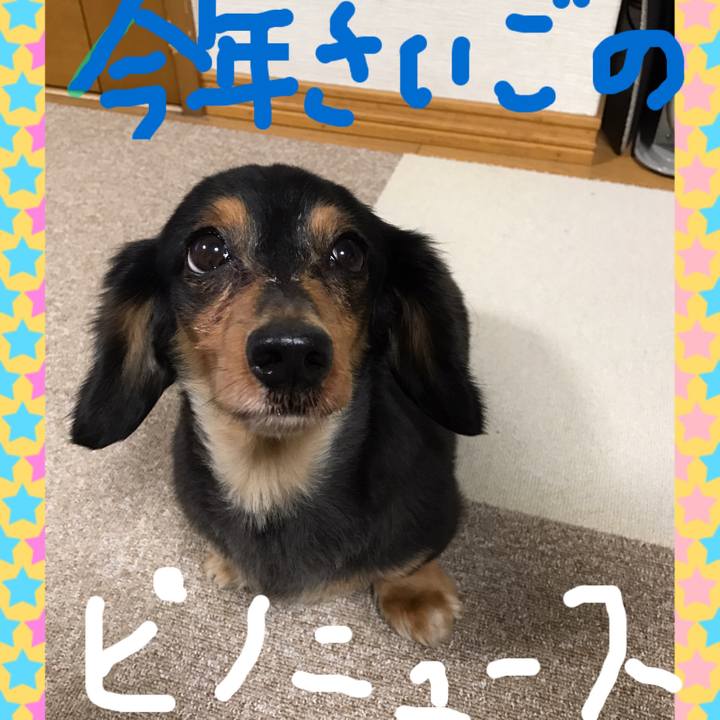 B54c0bb3 131e 4311 a5e9 6ce146336de3