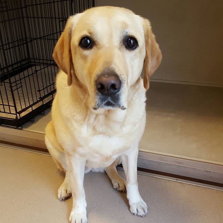 B54c2db4 7418 471e 9053 9fbccd0a9ed0