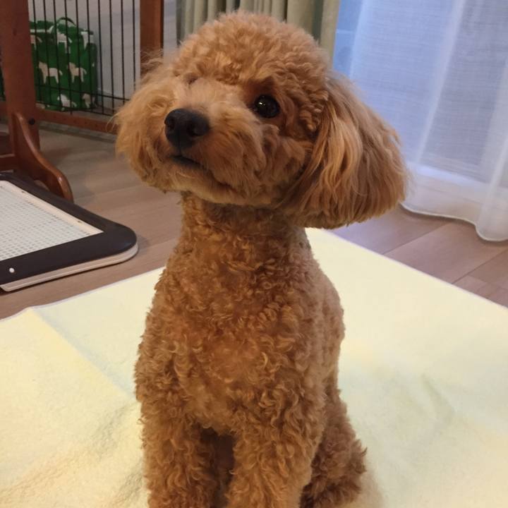 B54c75e3 00fa 4b07 817d b4df4d11c13a