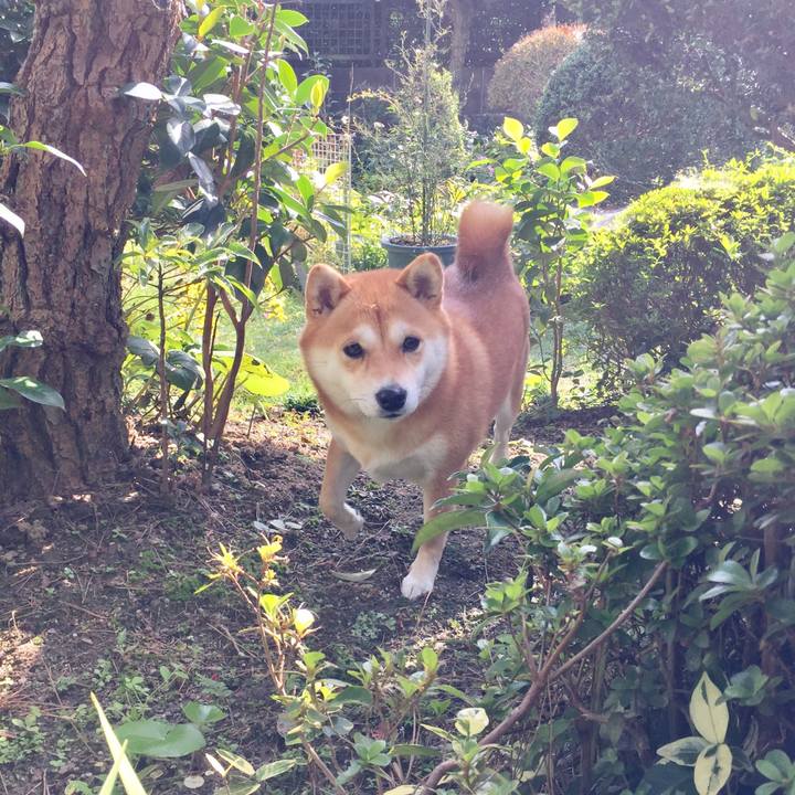 B54cc9f0 5866 4959 af33 e8be5c786a2c