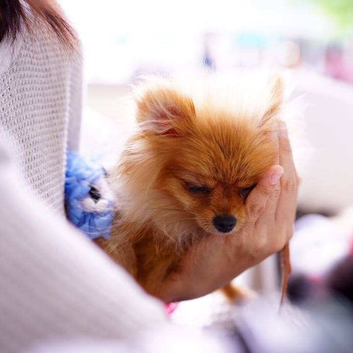 B54d282c 4160 4816 a925 0b1987e2a2ed