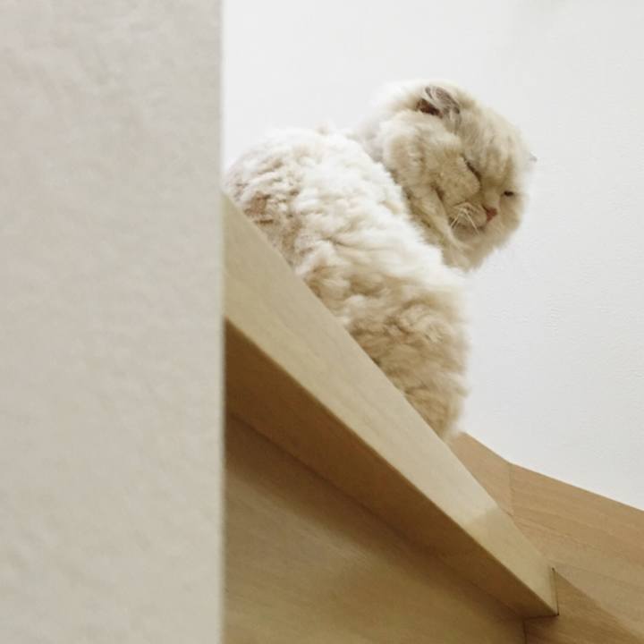 B54dc22c 7b3d 4c7a b156 9e424f0ff735