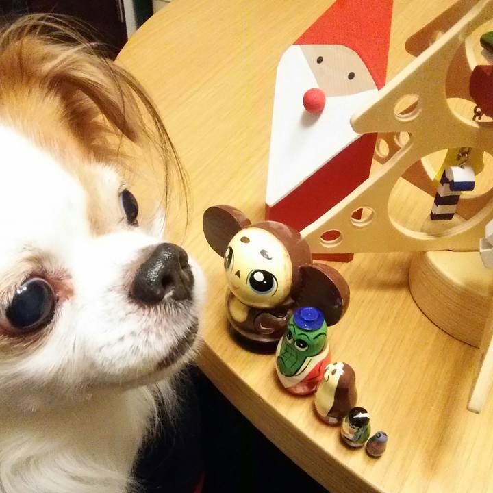 B54efd0b 6a9f 4405 a9dc 5170ab2cd9eb