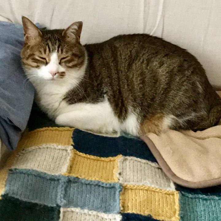 B54f487d 5d17 4afd affd 6331040516bf