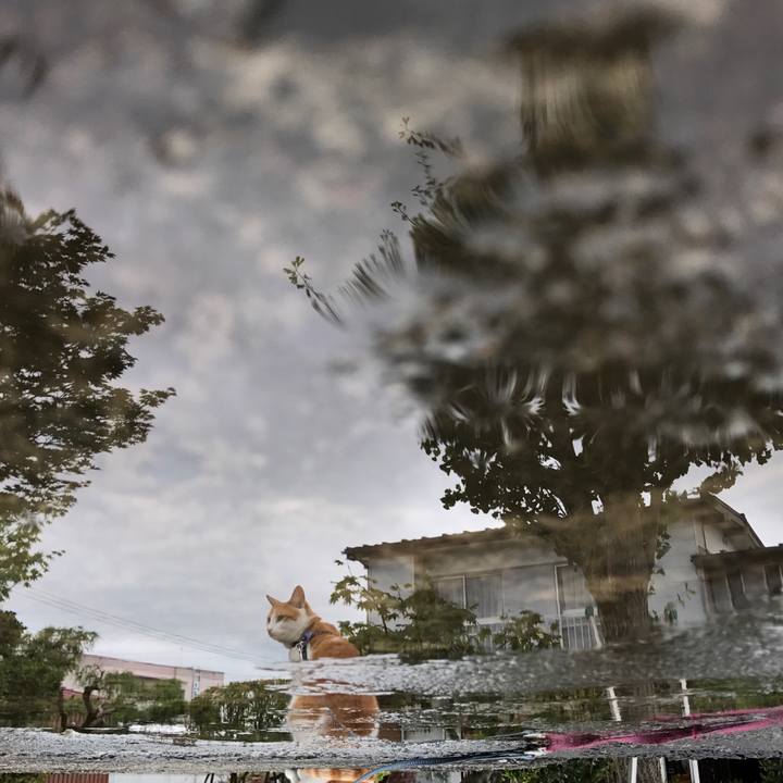 B54fd1e8 7d3b 4de4 8b00 29c919bf62e6