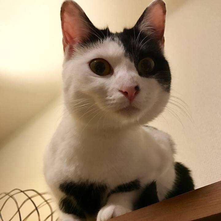 B550bc73 37dc 4edc a91a 66e8c0eb1e79