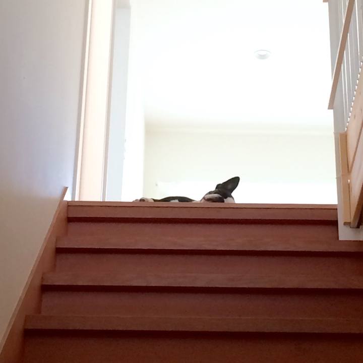 B551287b 1d09 49af 951f 317f4d2b52a1