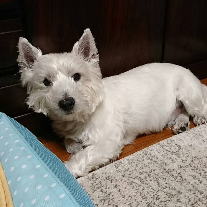 B551b6b6 c68e 4fb0 b05e dfda1bb81d87