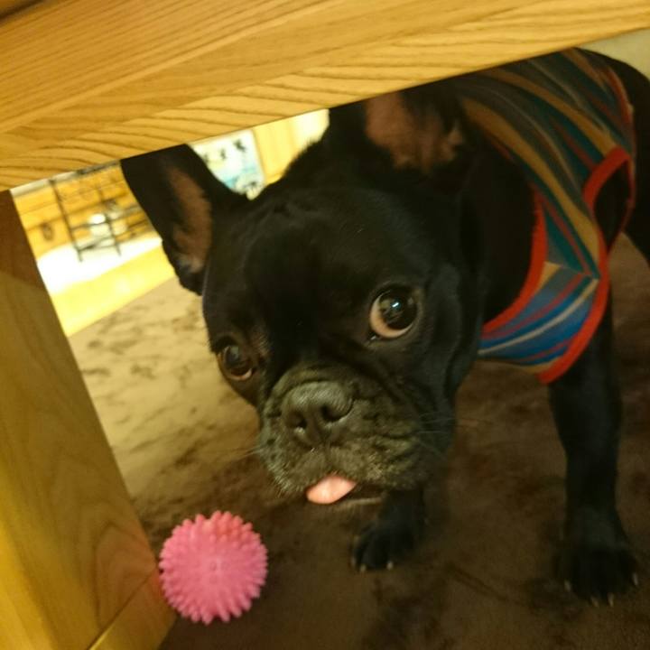 B552083a 9056 45d6 9217 f99d8b758a00