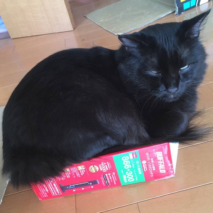 B5521fd5 a225 4c5c 895c 20b5f84f1846