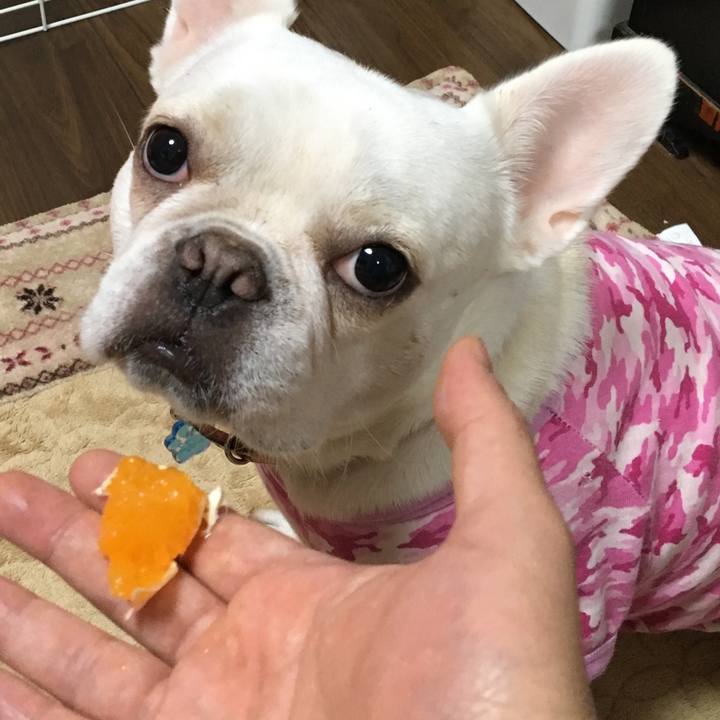 B5525fdb a694 4c96 9f9f 1395c3ec6ec3