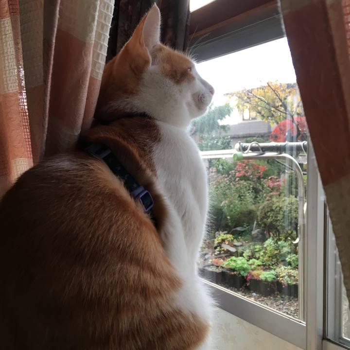 B552863c dad5 47b9 98d8 7a1e34380302