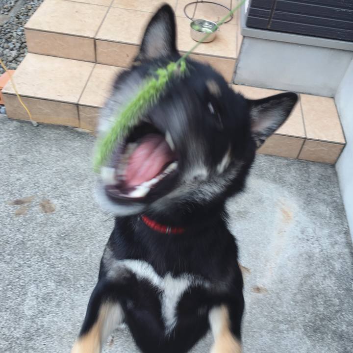 B5529b83 484e 4b02 a35b bee540100d59