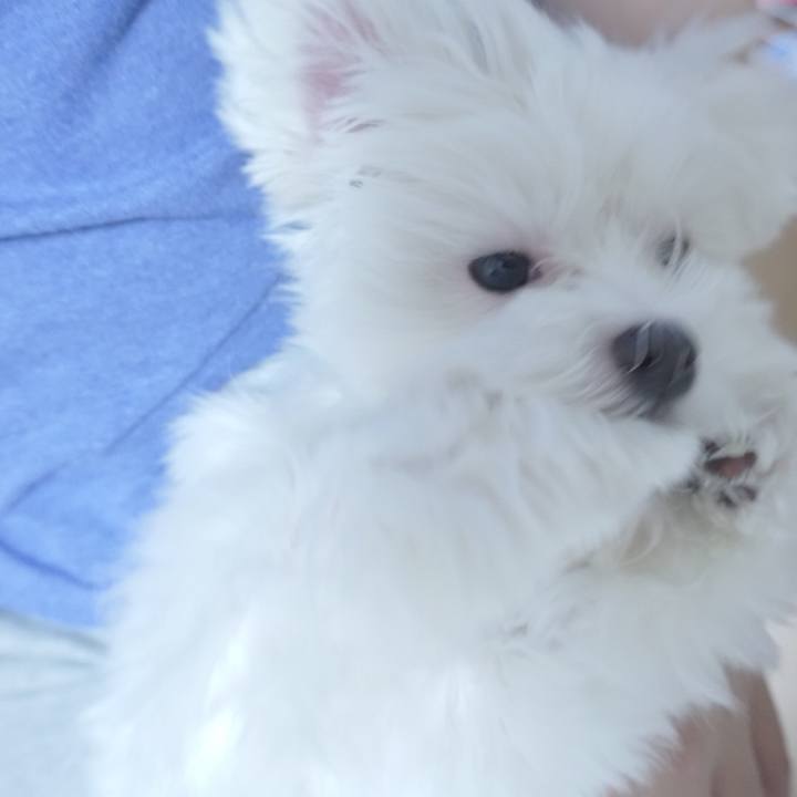 B552f25e 16a1 407a a665 87c5922db01c