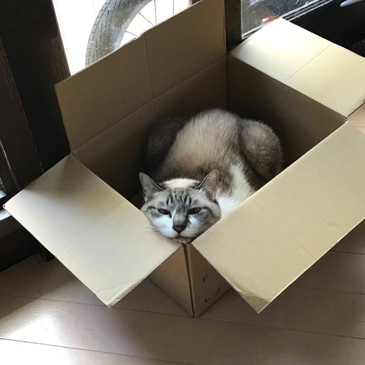 B553b262 78d1 41bd a1b9 819e68ecafe2