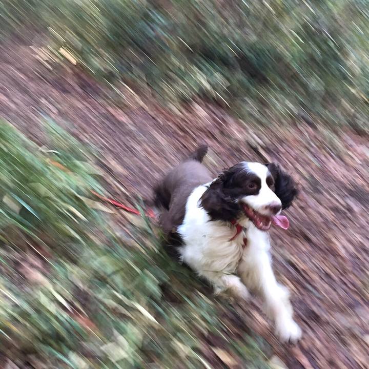 B553d602 ae7e 44be 8dcf 2473aa97973c