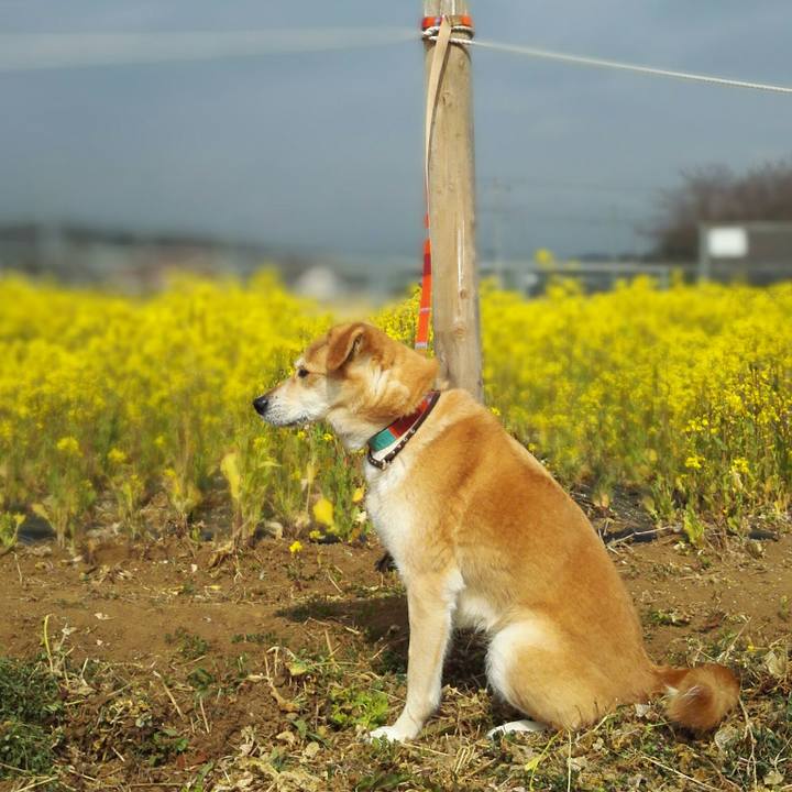 B5554685 ebde 4301 8377 6cd4472c87d1