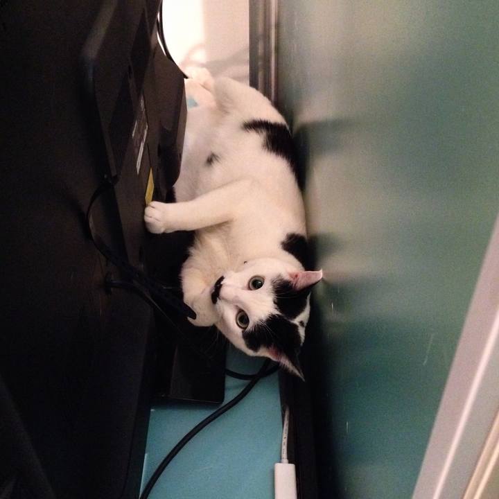 B55654fd 6740 4ee7 9bd6 6b67c93a7cd2