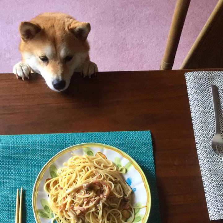 B556ee15 f0fd 4170 840d bed5ec176558