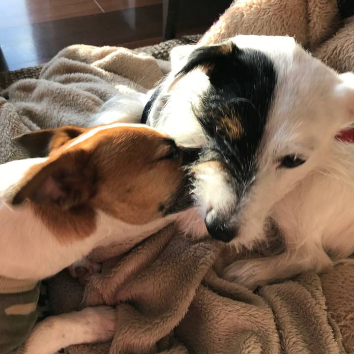 B5579dc1 4980 4b4f 90e6 f49aece5a928