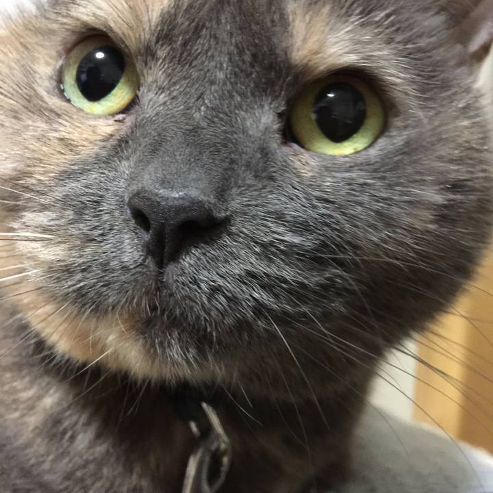 B5583162 b2e6 4b00 9a7d a9c5552da3fb