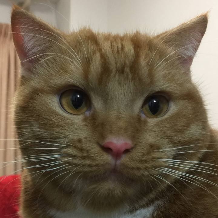 B558346c 7fba 4375 9f83 8d3130eb1145