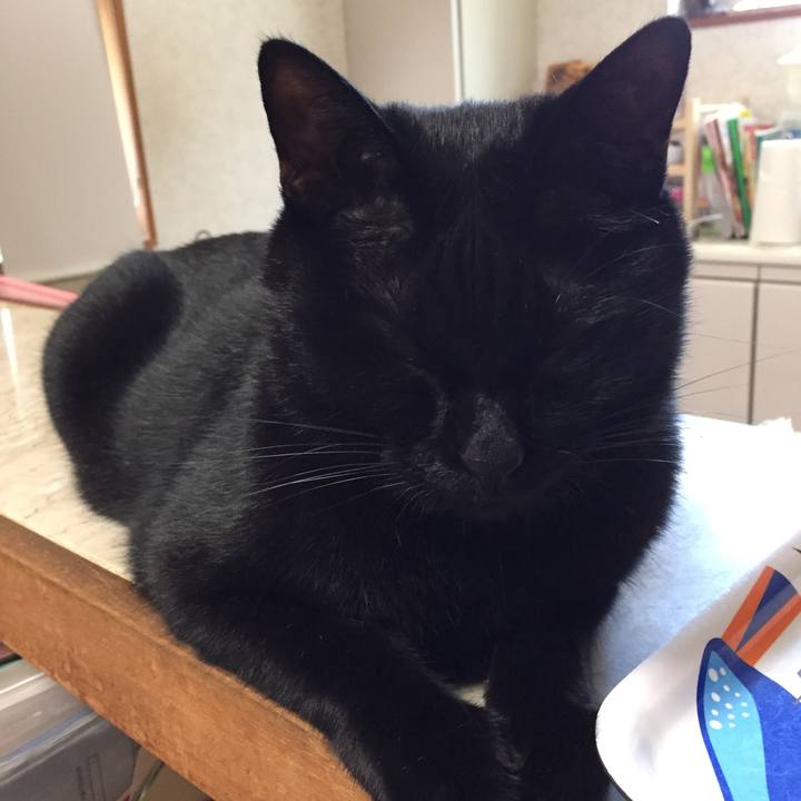 B558b1ce 96af 46d7 9b38 e116348c0cc0