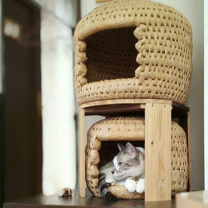 B5593e7b 1e54 4126 8e31 b5a060c7dc82