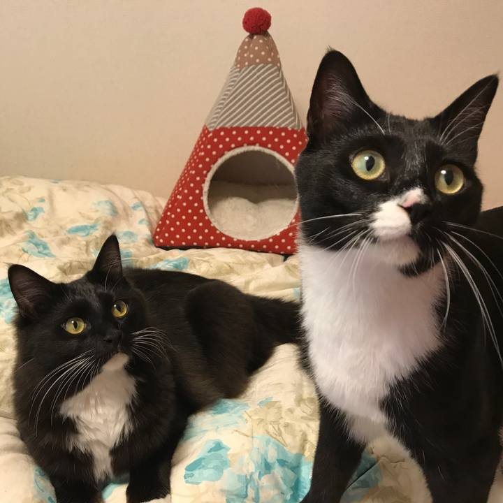 B55948f6 6d13 44cd 8515 f960085cffe5