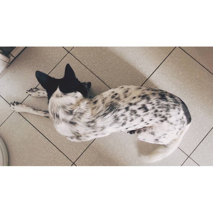 B5594d72 6d40 4864 aad2 73f1ccf273cb