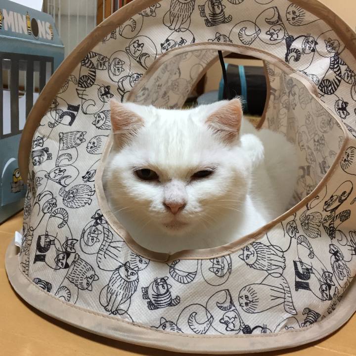 B559d910 68be 4468 9ced b8e1f596c7c8